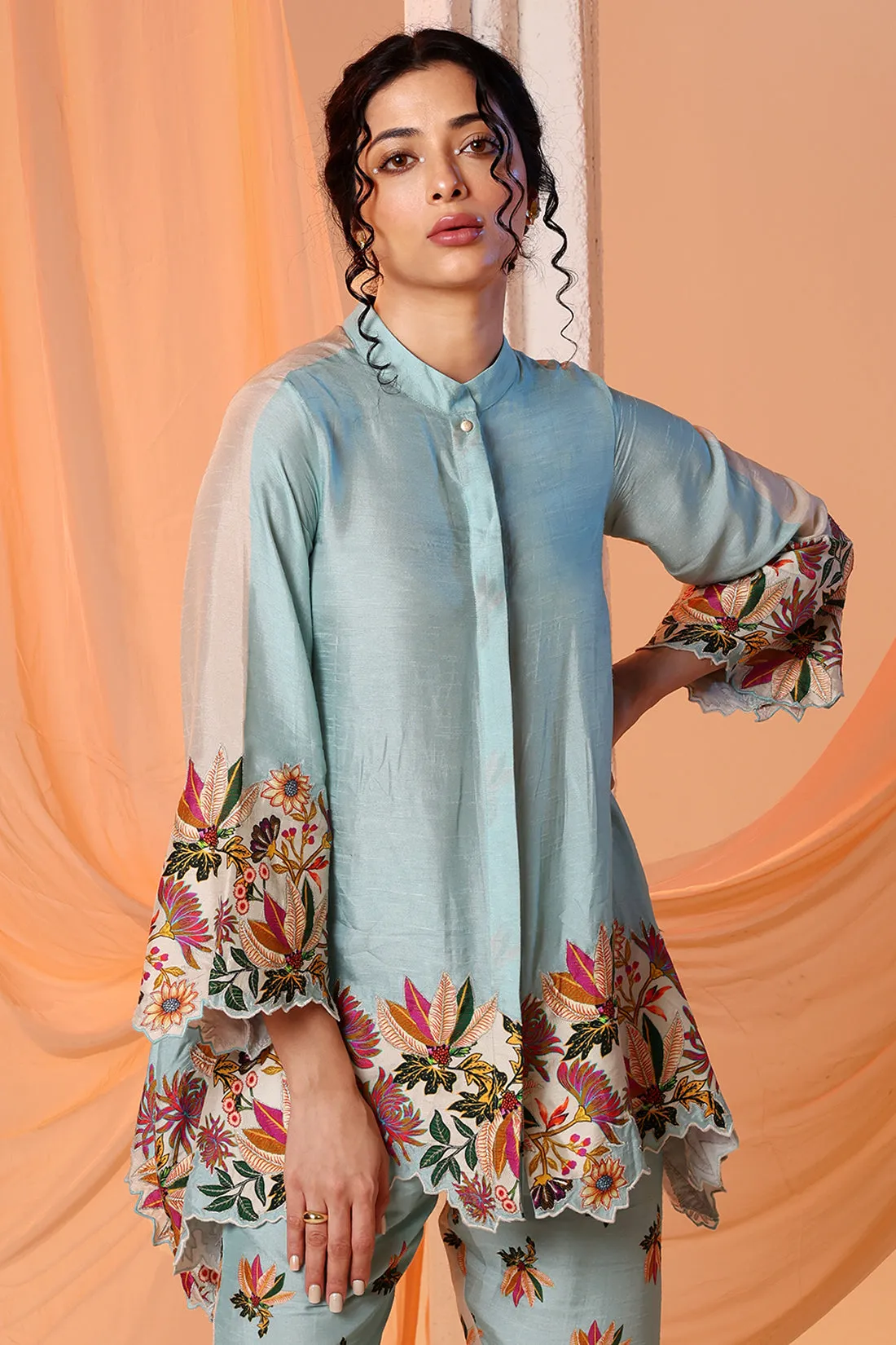Blue aarani embroidered tunic and pants