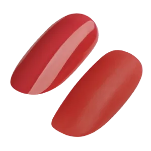 Gel Polish 260