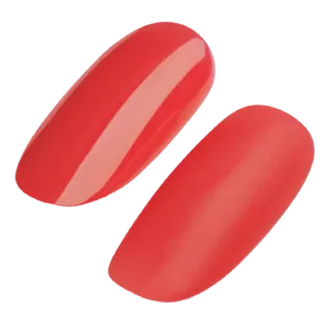 Gel Polish 261