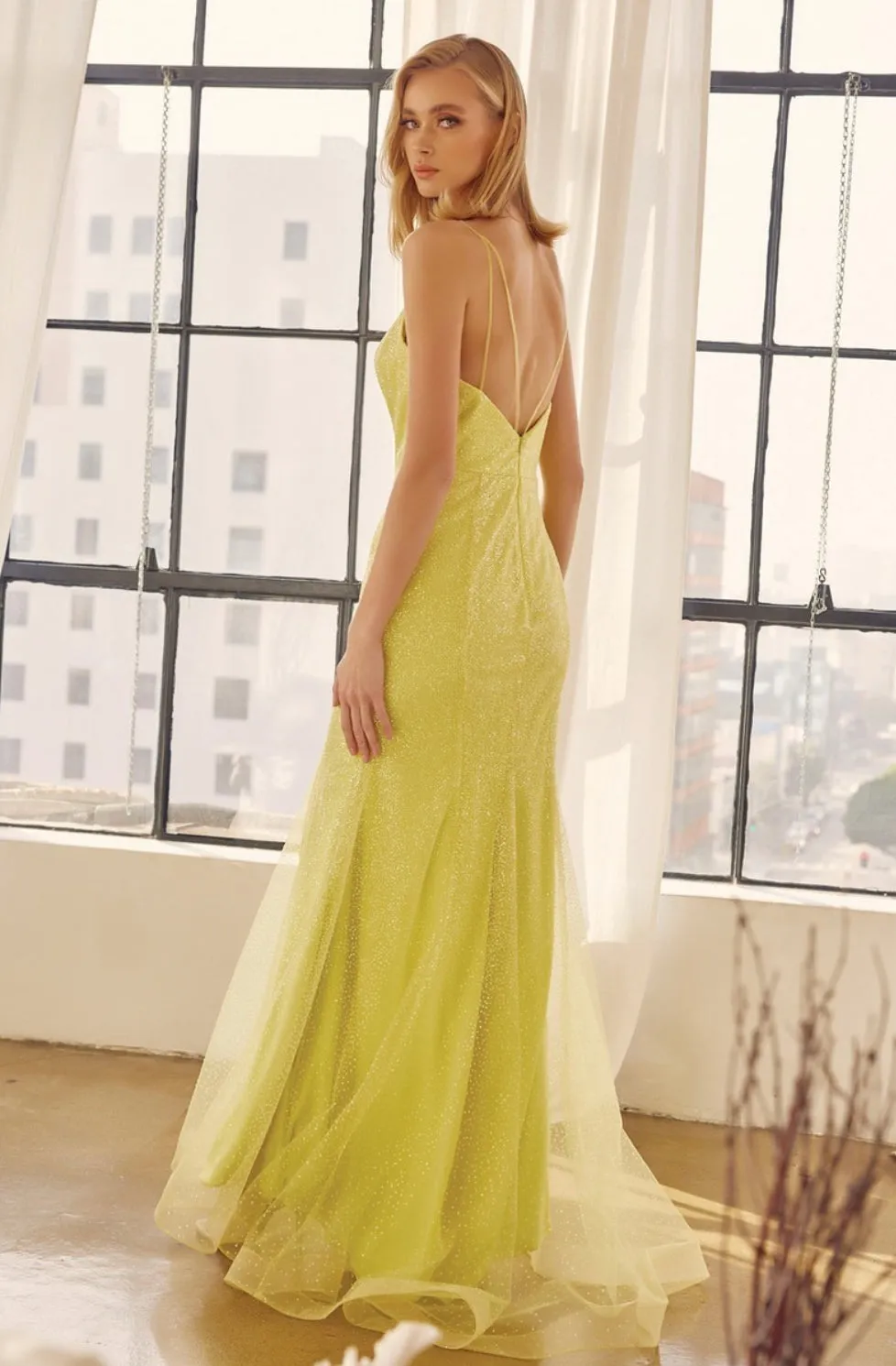 Juliet Evening Gowns 271