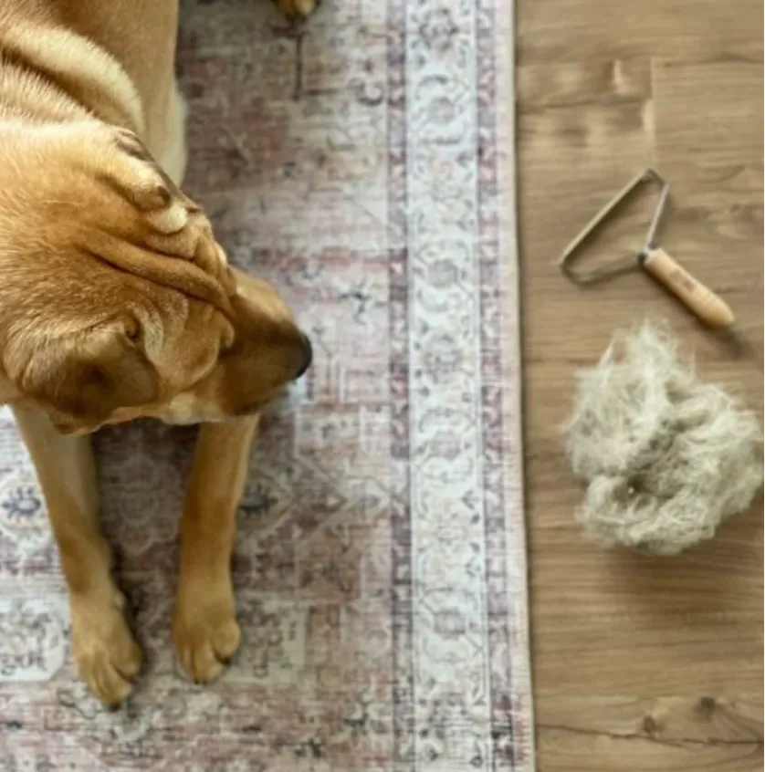 LINT REMOVER