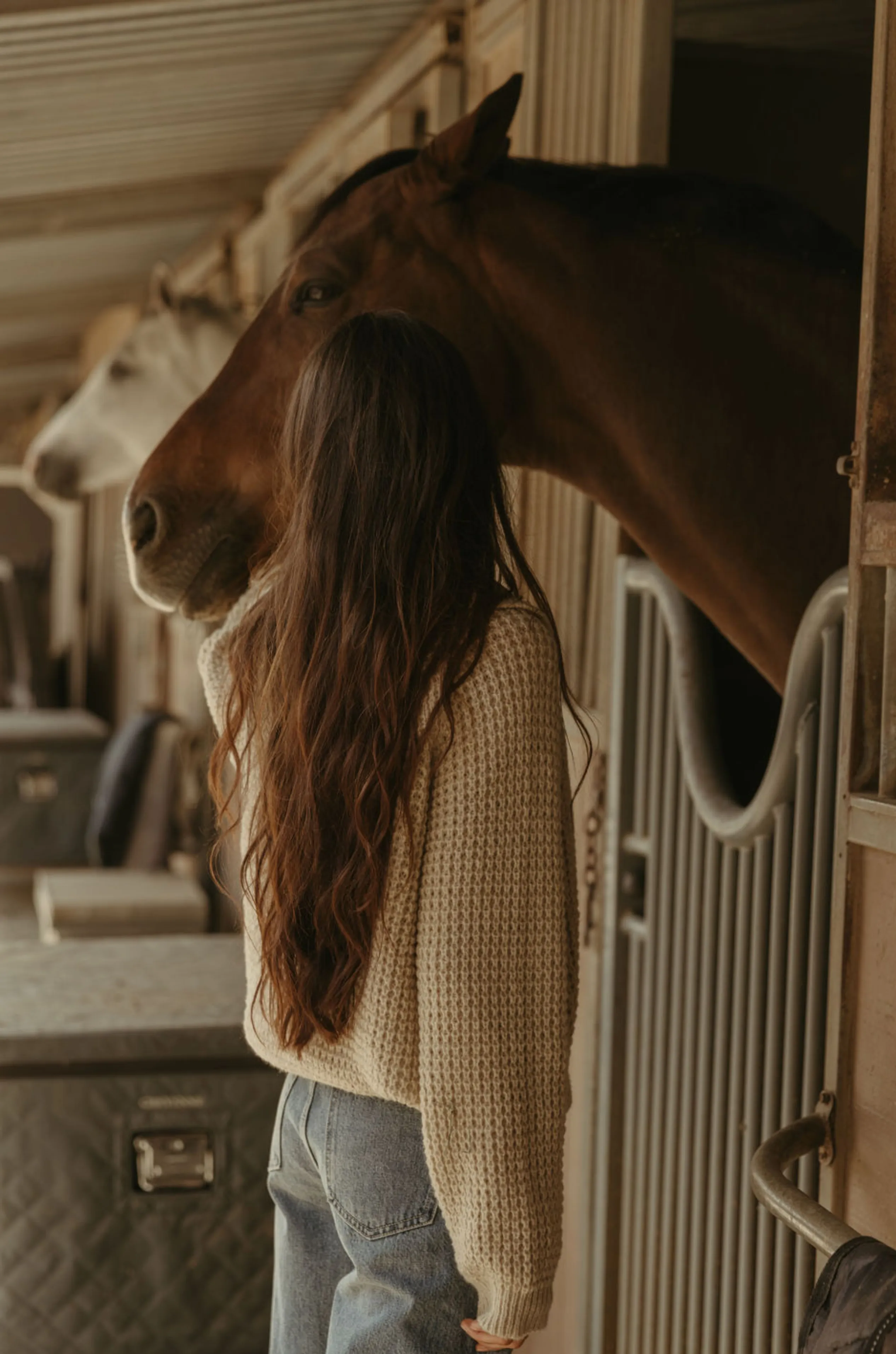 Wild West Sweater - FINAL SALE